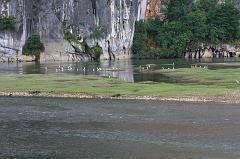 517-Guilin,fiume Li,14 luglio 2014
